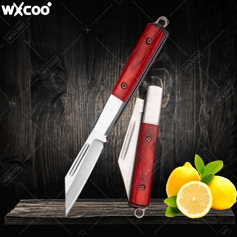 Stainless Steel Pocket Knife R - Kitchen Gadgets You Need ulasan dan harga