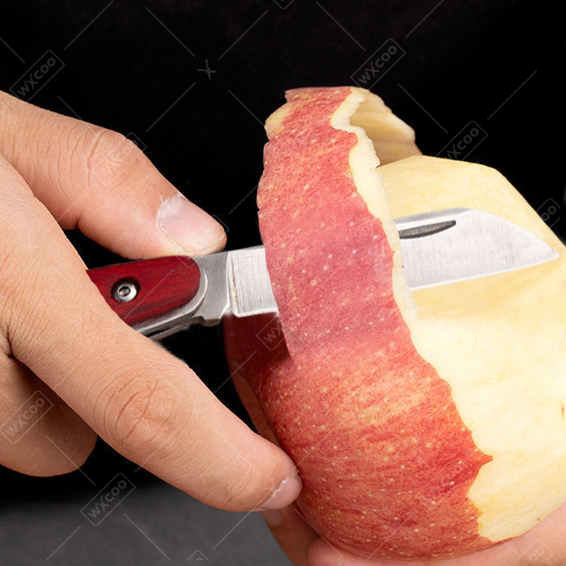 Stainless Steel Pocket Knife R - Kitchen Gadgets You Need ulasan dan harga