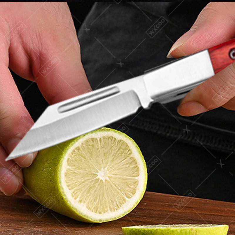 Stainless Steel Pocket Knife R - Kitchen Gadgets You Need ulasan dan harga